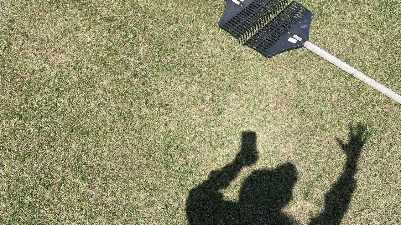 скарификация газона - YouTube