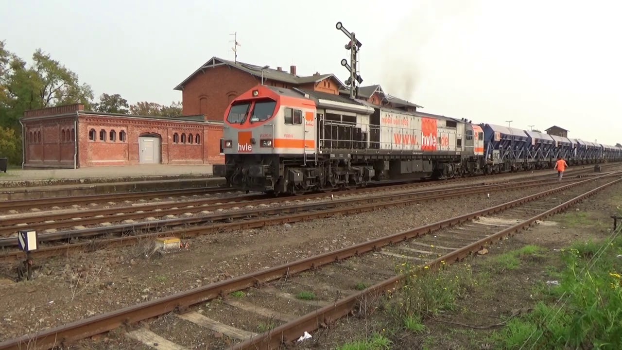 Die Tiger der Baureihe 250 in den Jahren 2015 bis 2019