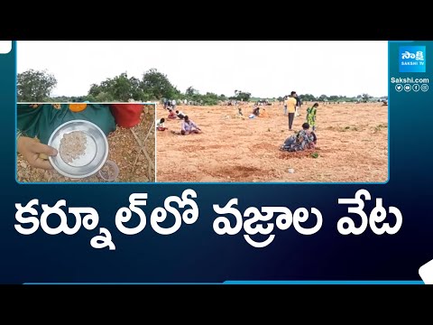 కర్నూల్ లో వజ్రాల వేట | Hunt For Diamonds In Kurnool District |@SakshiTV - SAKSHITV