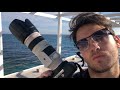 АН "Причал 82" | Ялта, Массандровский пляж