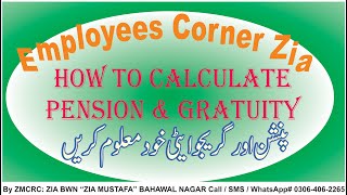 How to Calculate Pension & Gratuity | Add Yearly Increases & Medical Allowance |Pension Calculation| screenshot 3