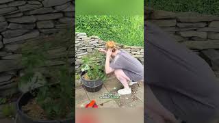 Emetophobia Prank #prank #pranks #funnyprank #funnypranks