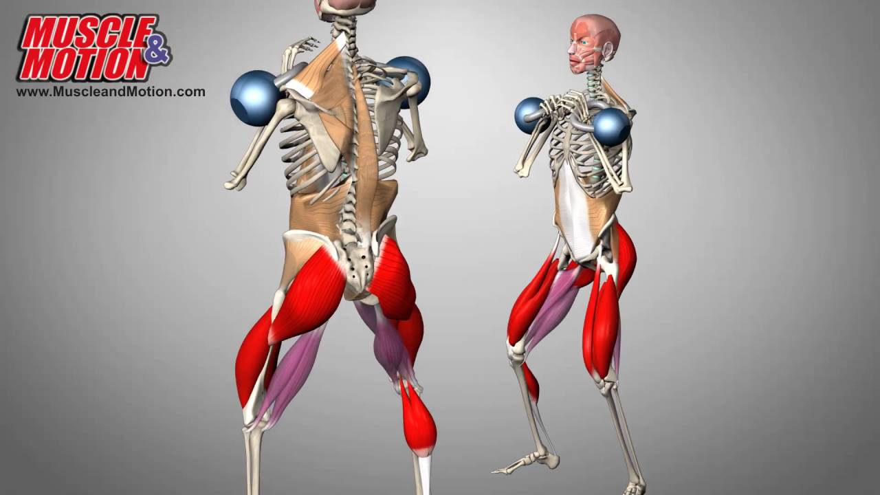 Overhead Squat Assessment Functional Training And More Youtube Strength Training Anatomy Love Fitness Functional Training Overhead Squat Assessment Functional Training And More Youtube Strength Training Anatomy Love Fitness Functional Training