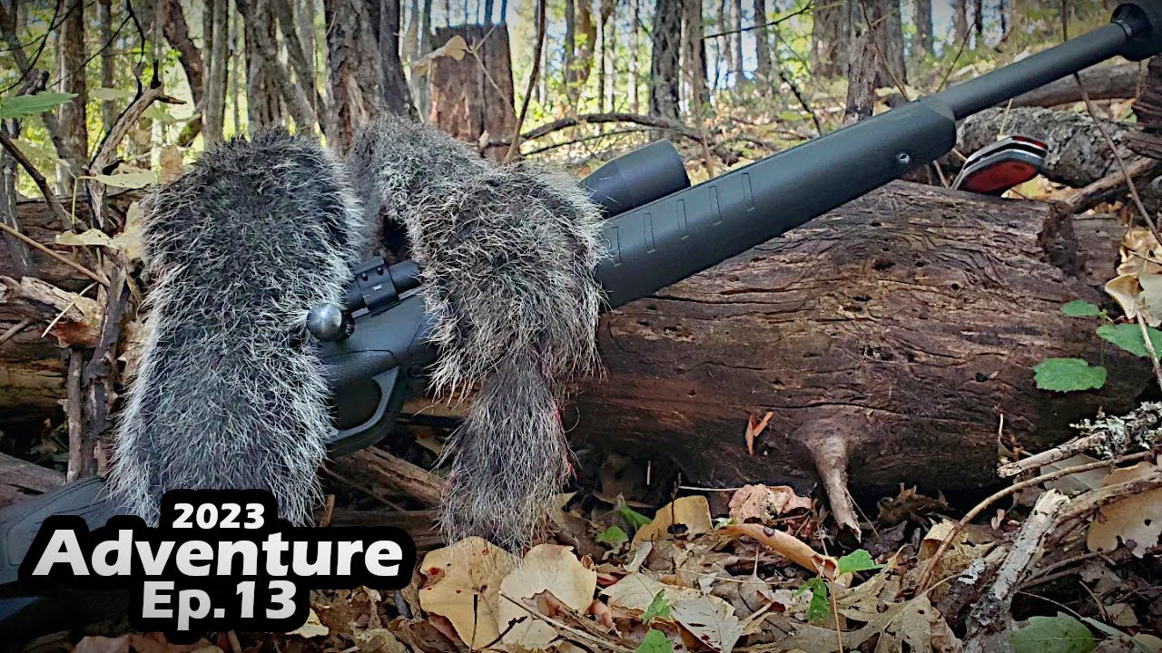 Hunting Gray Squirrels with Suppressed .17HMR | Western Gray Squirrel Hunting Season 2023