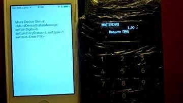 PaynetEasy SDK + iOs + Miura