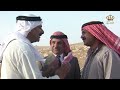 باعوا أراضيهم عشان يشتروا سيارات ويشوفوا حالهم على بعض فيها أم الكروم
