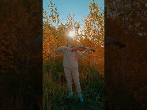 Отчего так в России берёзы шумят? #shorts #short #русскаямузыка #скрипка