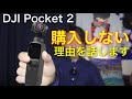 【DJI Pocket 2】買わない理由を話します