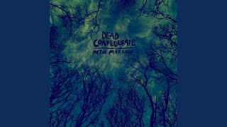 Big City Life - Dead Confederate
