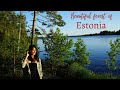 Picnic Date In The Deep Forest Of Estonia