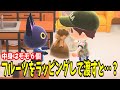 【あつ森】フルーツをラッピングして住人に渡してみると…？【あつまれどうぶつの森】