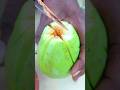 Raw mango cutting l spicy  mango eating shorts