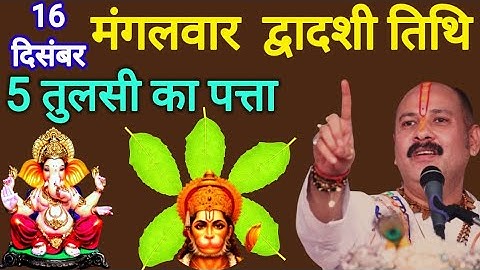 16 दिसंबर पौष मंगलवार द्वादशी तिथि को 5 तुलसी के पत्ते वाला उपाय जरुर करे || Pradeep Ji Mishra