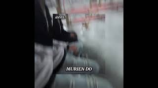Anyel - Murien Do