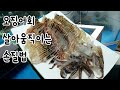 횟집 오징어회 손질법 10분 더 살아있는 오로시(cook Squid raw fish food )