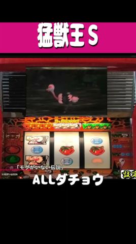 猛獣王【激アツ!ALLダチョウ】#shorts #パチスロ #レトロ台