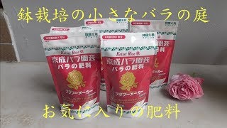 鉢栽培の小さなバラの庭　置くだけ 簡単 ! お値段もリーズナブル！