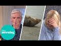 Phillip & Holly Lose it as Seal Urinates Live on TV | This Morning