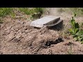 S1E4 Test Drive BBHeavyT1