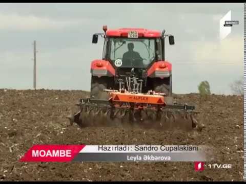 Video: Torpaq örtüyü çoxillikləri Haqqında Bir Az Daha çox