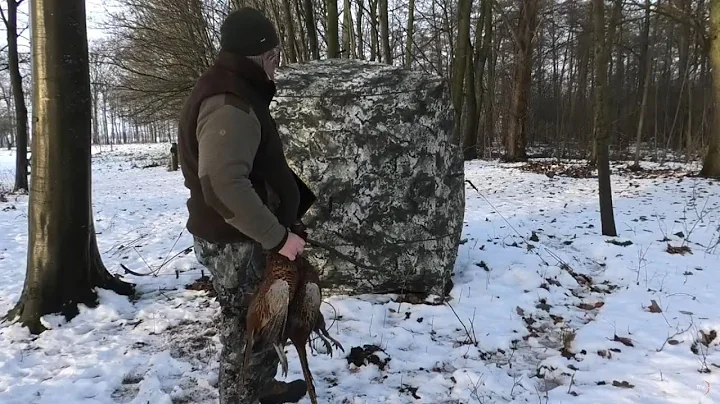 Traditional bowhunting for pheasant´s - Tales From the Willows - Season 5, Episode 4