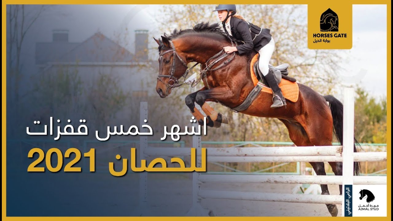 اشهر خمس قفزات للحصان 2021
