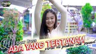 DJ Ada Yang Tertanam Yang Lagi Viral Versi Slow bass Nyaman di Pakai Joget