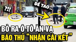 Thấy Ô TÔ đang chạy đến, cậu bé bất chấp nguy hiểm lăn ra đường ĂN VẠ và cái kết | Tin Nhanh 3 Phút
