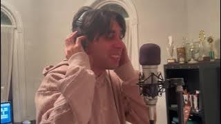 Ziggy Stardust Cover - Julien Falcone