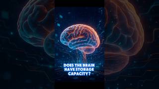 Does The Brain Have Storage Capacity?