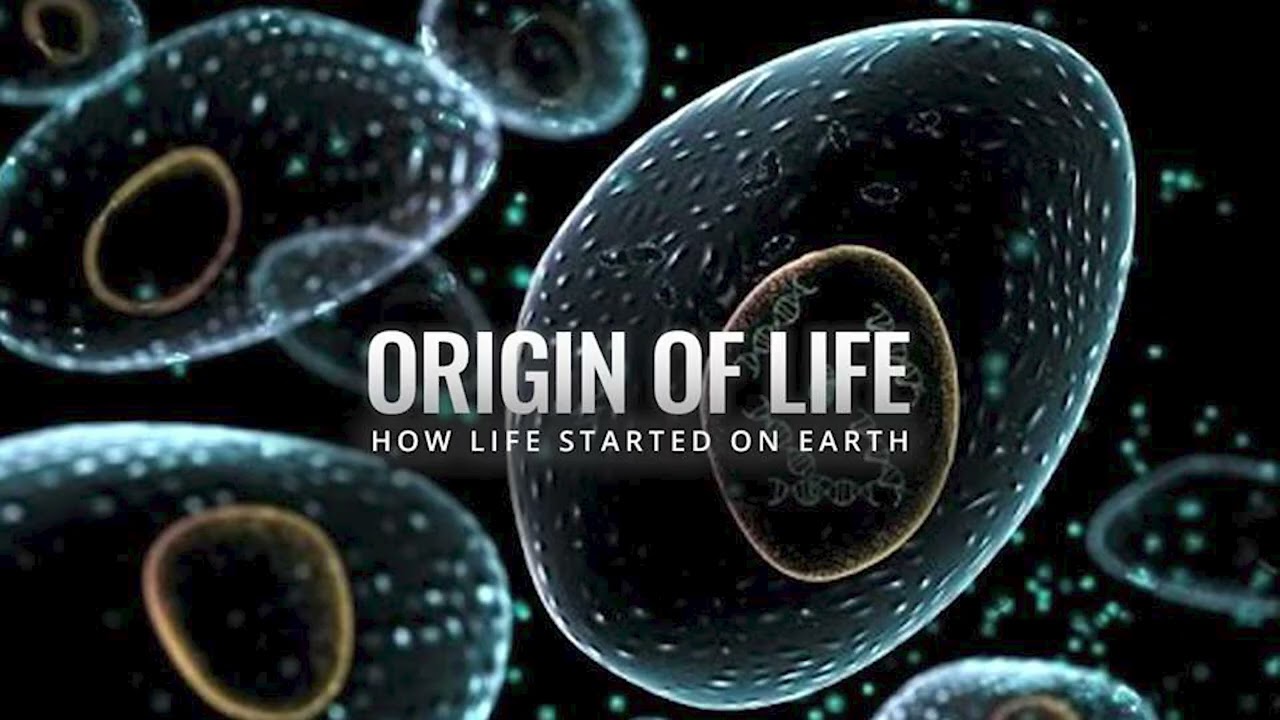 MENYA N'IBI KUNKOMOKO Y'UBUZIMA KU ISI