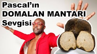 Pascalın Domalan Mantarı Sevgisi - Aragaz