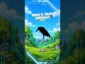 AFRICAN MARABOU STORK #035 - WILD DEX