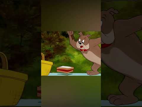 Ein perfektes Picknick 🧺 | Tom und Jerry | #shorts @WBKidsDeutschland