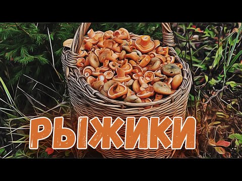 РЫЖИКИ. Александр Ганичев