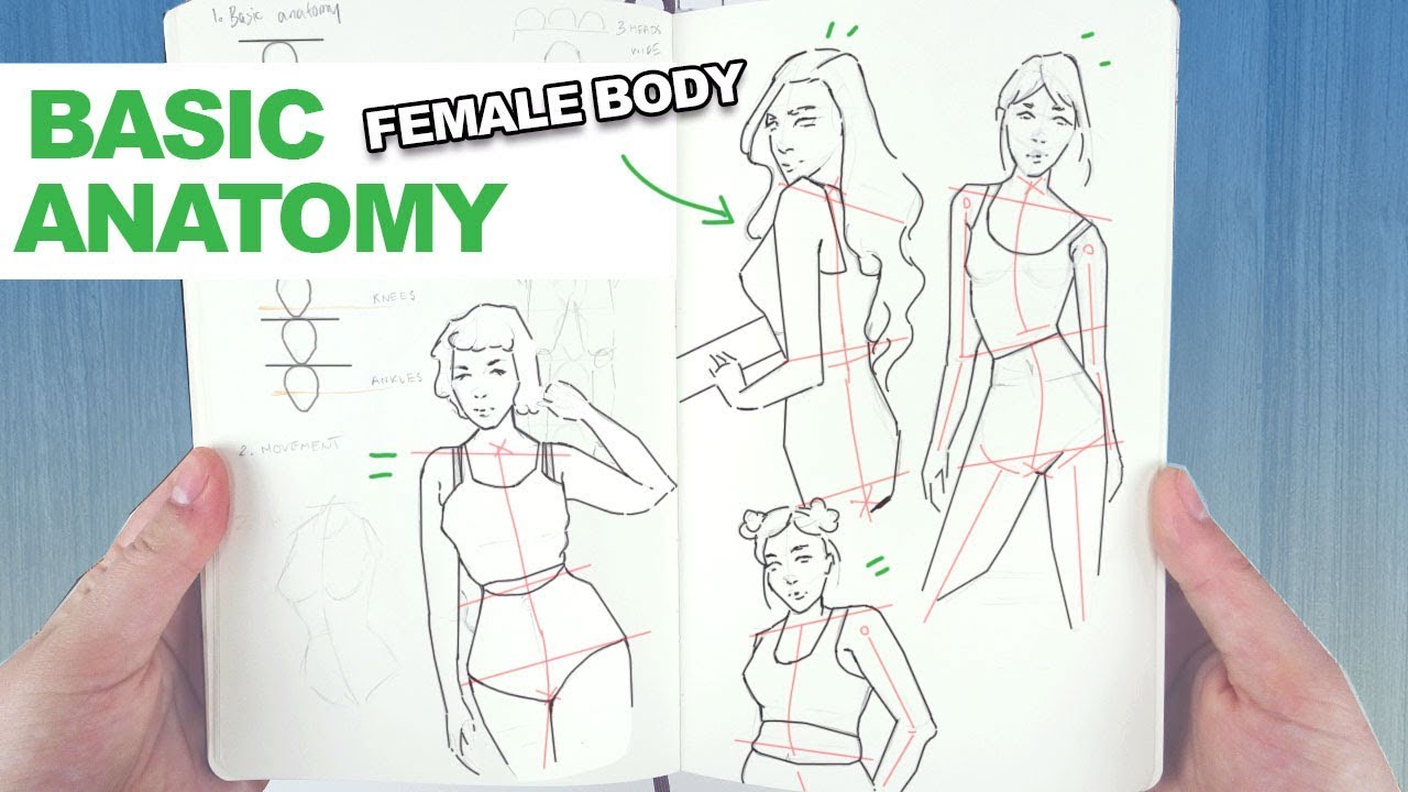 Tutorial Drawing Female Body Drawing Human Body Step Step Lessons