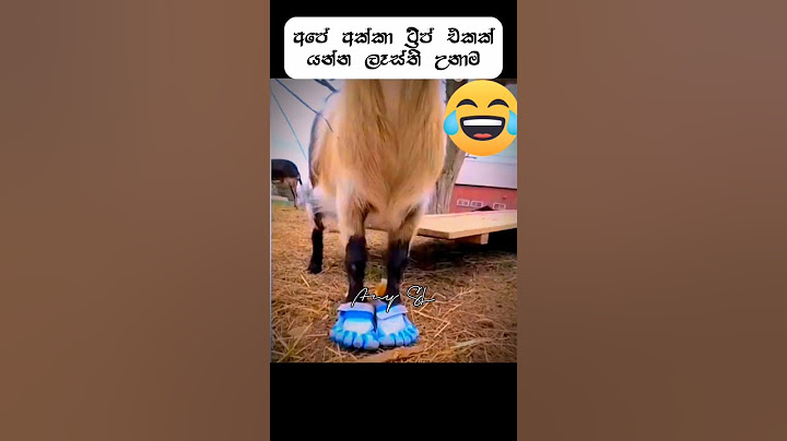 අපේ අක්කා ට්‍රිප් එකක් යන්න ලෑස්ති උනාම 😂  #anysl #funny