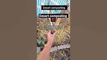 Desert composting #desertgarden #compost #gardening