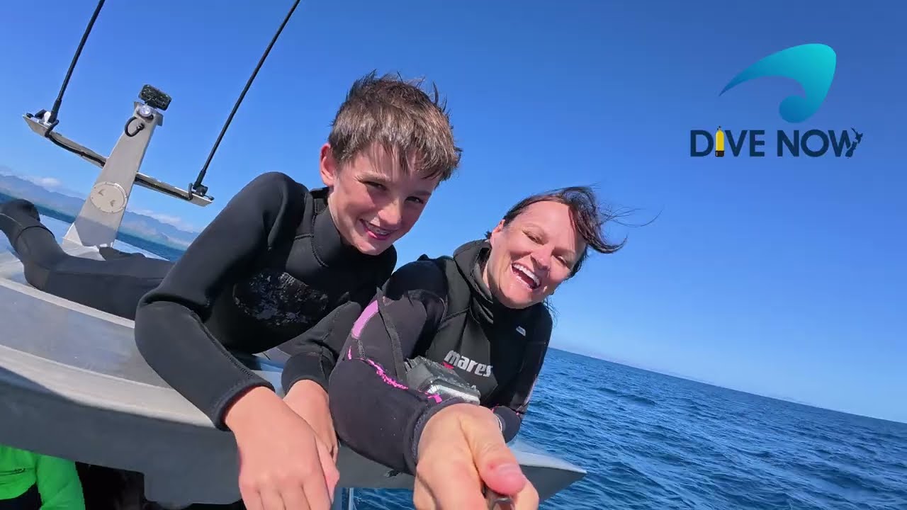 Fiji Diving at Volivoli with Dive Now 2025