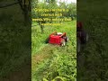 It works efficiently and makes weeding a breeze! #wheeledlawnmower #lawnmower #brushcutter #diy