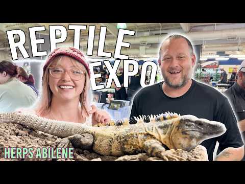 Top Secret Show Me Reptile Show Loveland Folio - h5t5zad