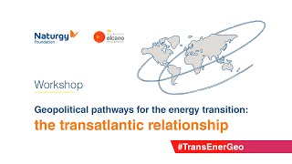 Workshop ‘Geopolitical pathways for the energy transition: the transatlantic relationship’