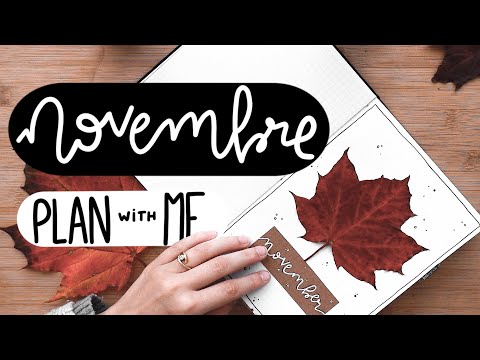 NOVEMBRE 🍁dans mon