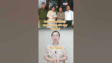 Nhặt gần 2.000 USD trong hàng cứu trợ vùng lũ