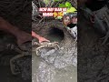 please like comment share and subscribe #fun #farming #fishinglife #happy #travel #follow #likes