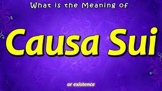 Causa Sui Meaning