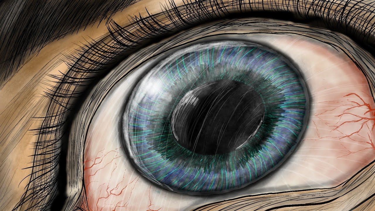 Less Death Image Animation Silent Death || Animation Series Trailer ||@KnowBuddyOfficial - YouTube