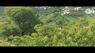 اغاني الفنان-ايوب طارش# حبيب القلب#ليتك - بالذي-بي-#