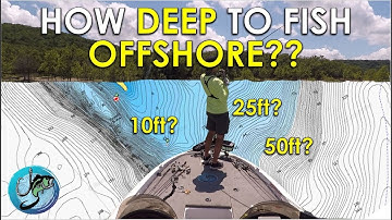 Easy Guide: How Deep Bass Live Offshore | Thermocline Explained