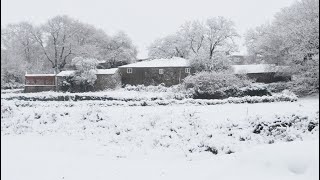 ❄️Rural Galicia in Snow ❄️Galicia rural Nevada